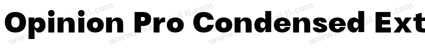 Opinion Pro Condensed Extra Bold字体转换